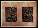 dragons-dsc00281