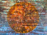 Sunset -23 x 24